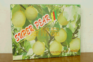 ya pear,hebei ya paer