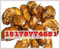 �����֪�˺�