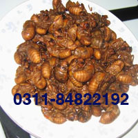 �����֪�˺�